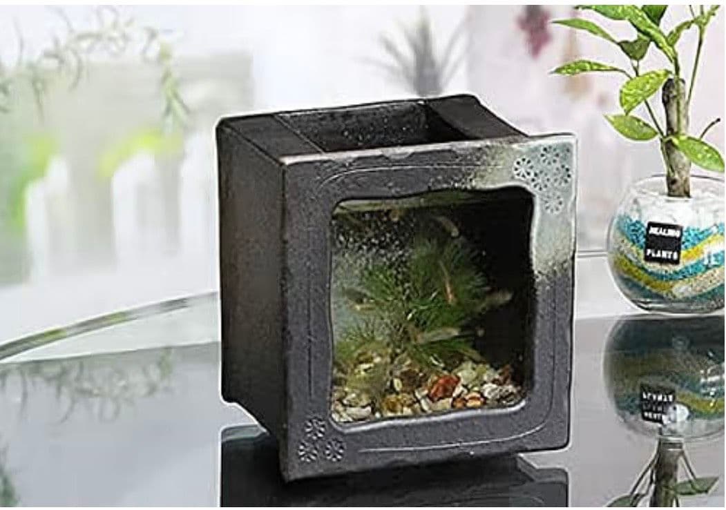 陶器製 四角形小型水槽 花模様付き