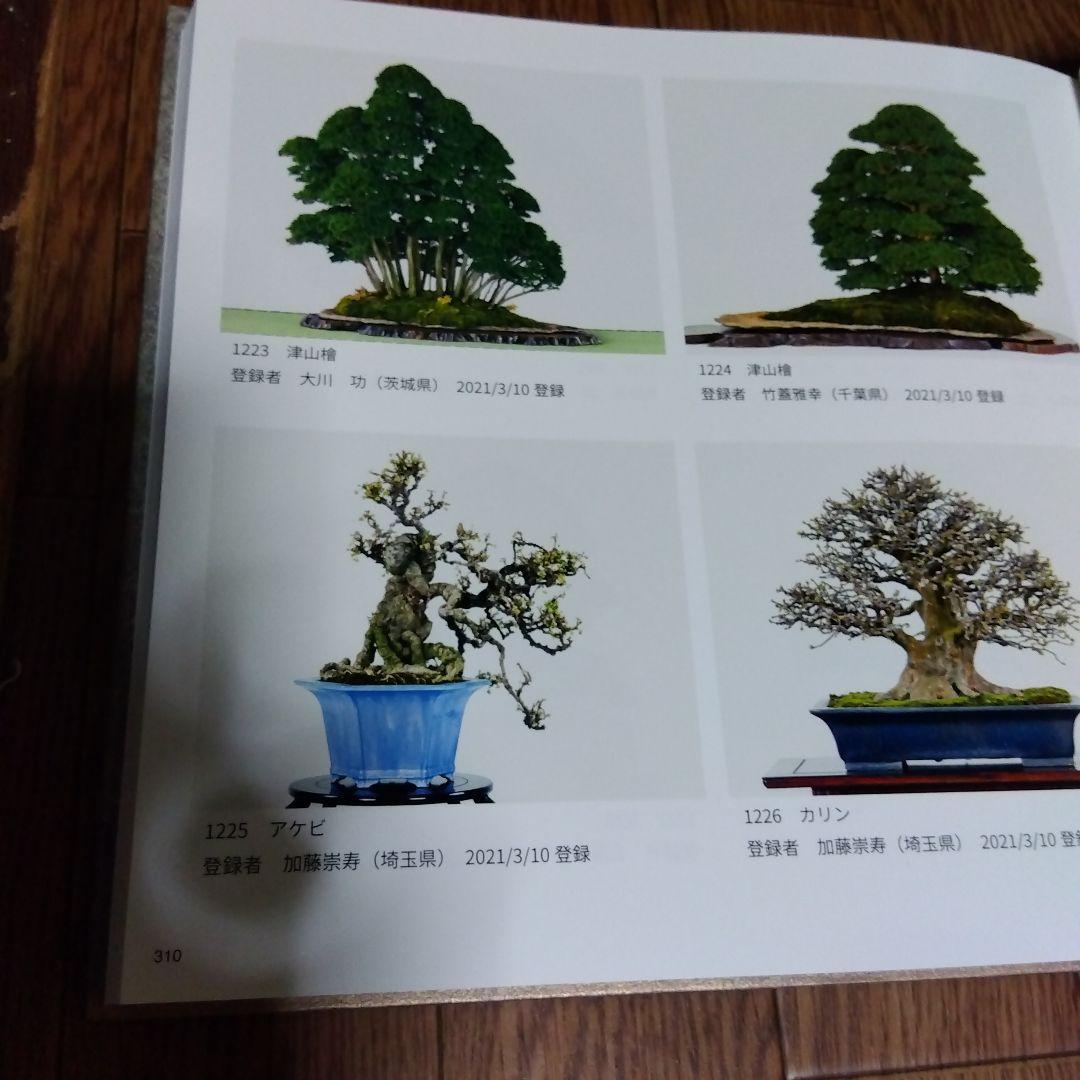 貴重盆栽登録樹集