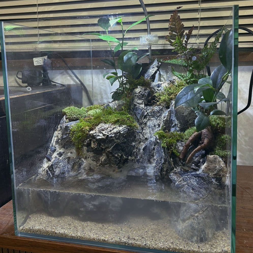 滝の流れるアクアテラリウム　No.1142