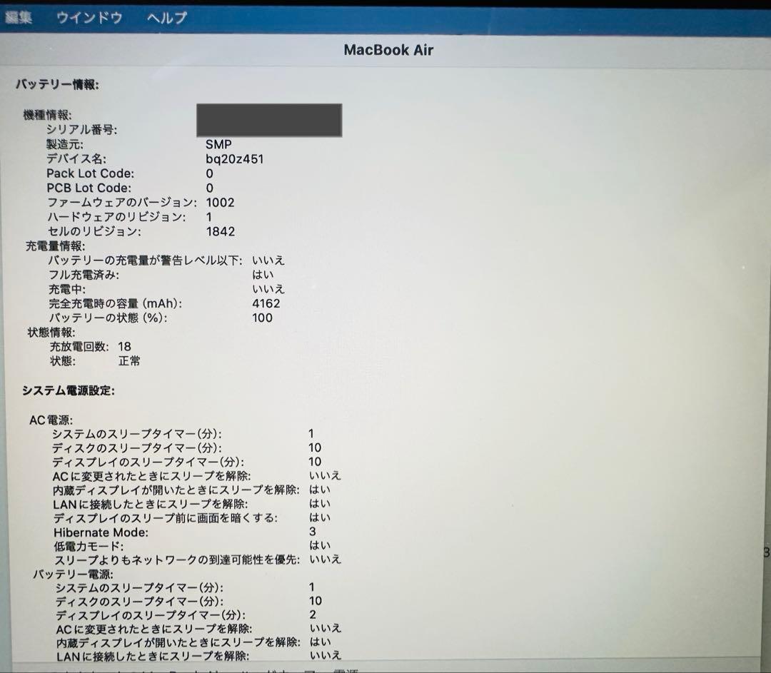Apple MacBook Air 2019 ローズゴールド USB変換コード付