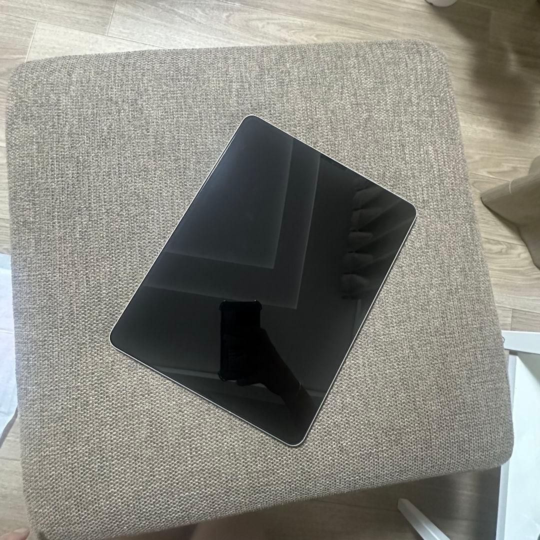 美品 iPad Pro 12.9インチ Wifi+Cellular 512GB