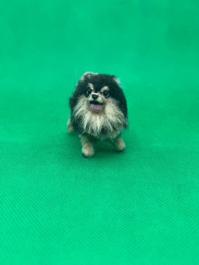 shuyunet様　オーダーページ　羊毛フェルト　猫　羊毛フェルト　ポメラニアン
