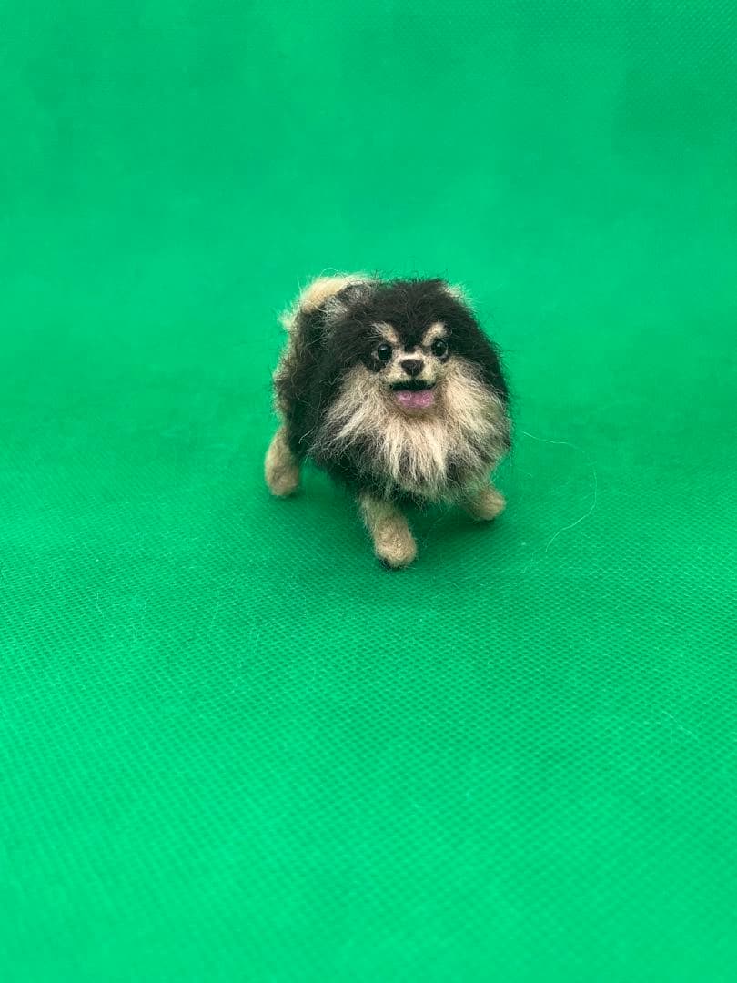 shuyunet様　オーダーページ　羊毛フェルト　猫　羊毛フェルト　ポメラニアン