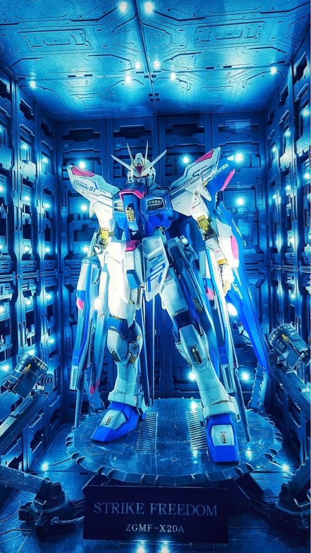 PG ストライクフリーダム　全塗装、完成品