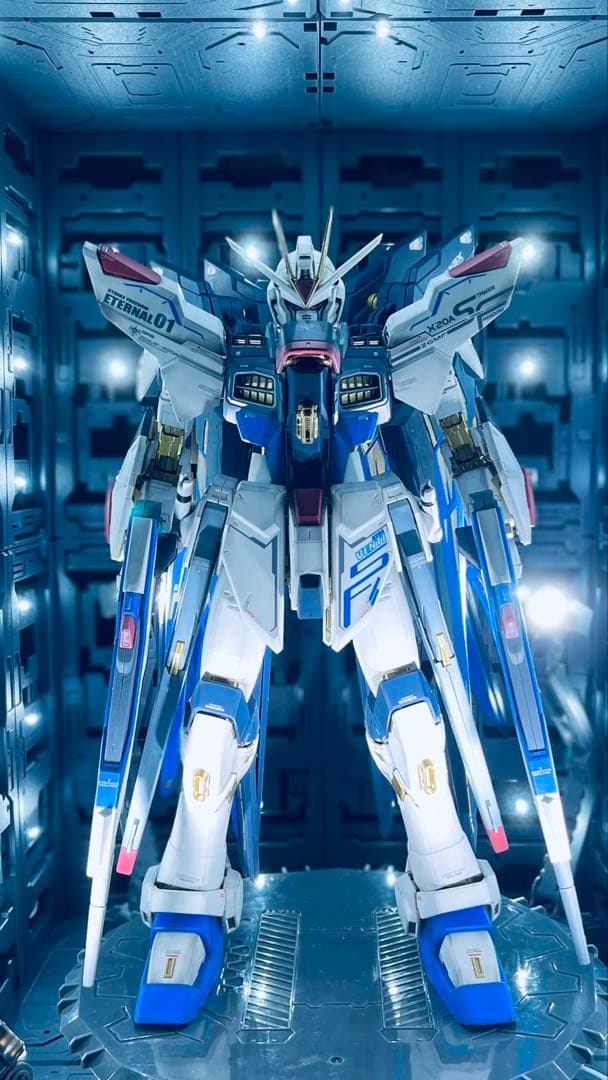 PG ストライクフリーダム　全塗装、完成品