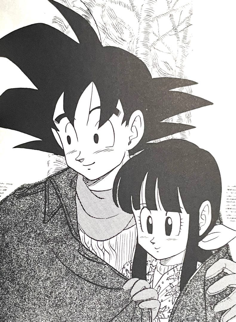 ドラゴンボール同人誌　悟空×チチ　悟チチ