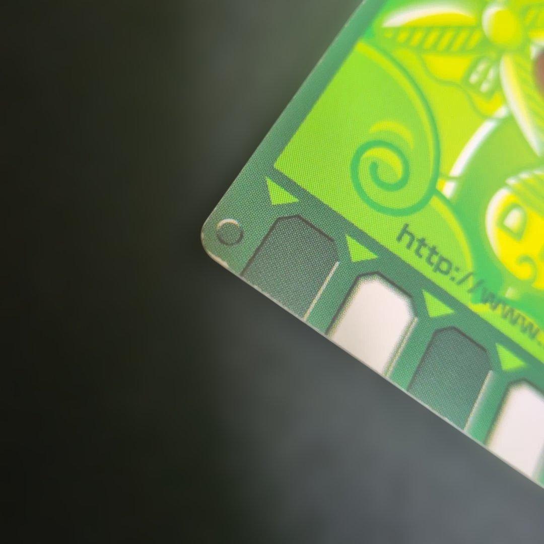 ぐるりの森 50thカード2枚＋おまけ