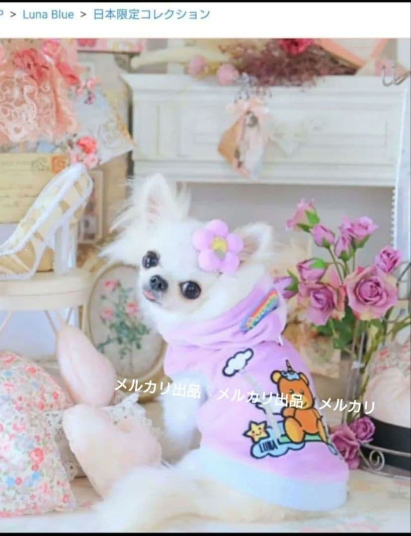 Luna Blue ルナブルーパーカー　フーディ日本限定　Ｓ　完売品　②