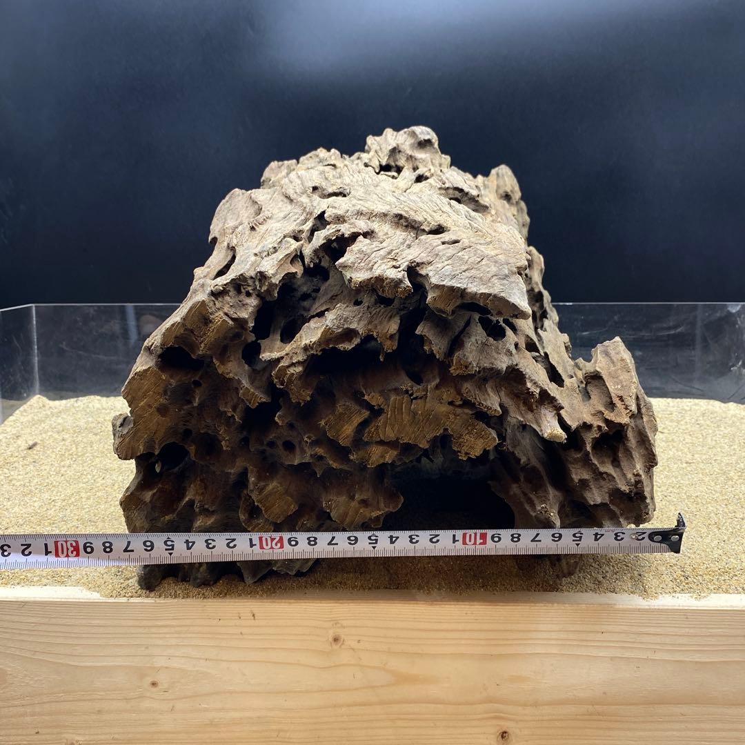 MMW-6273 特大マシンガンウッド　自立一点物　流木　アクアリウム