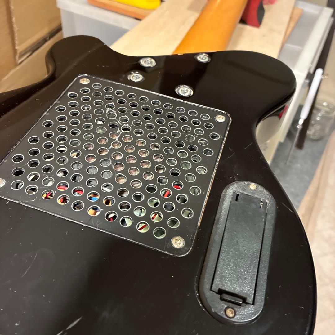 ピグノーズPGG200 サンバースト