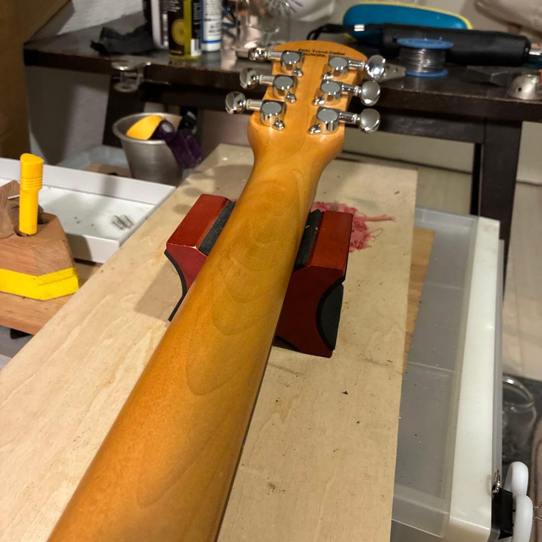 ピグノーズPGG200 サンバースト