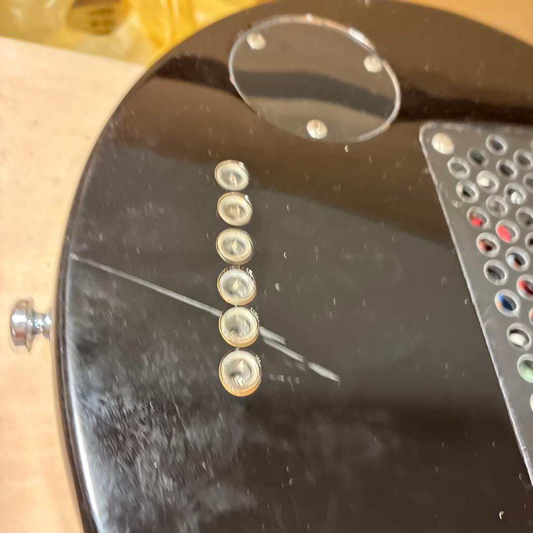 ピグノーズPGG200 サンバースト