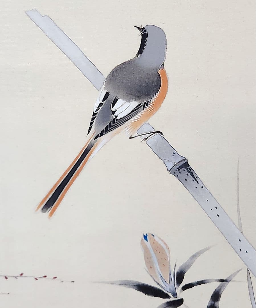 【糸菊図】戸田北遥 2706 白キクに小禽 肉筆 掛け軸 共箱