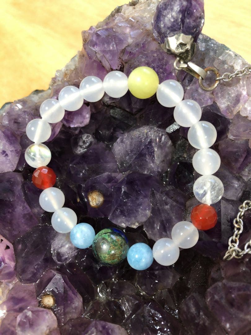 ねこみやスペシャルコース