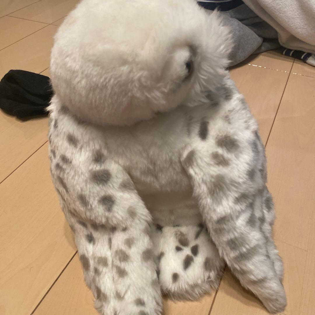 ハリポッターの鳥