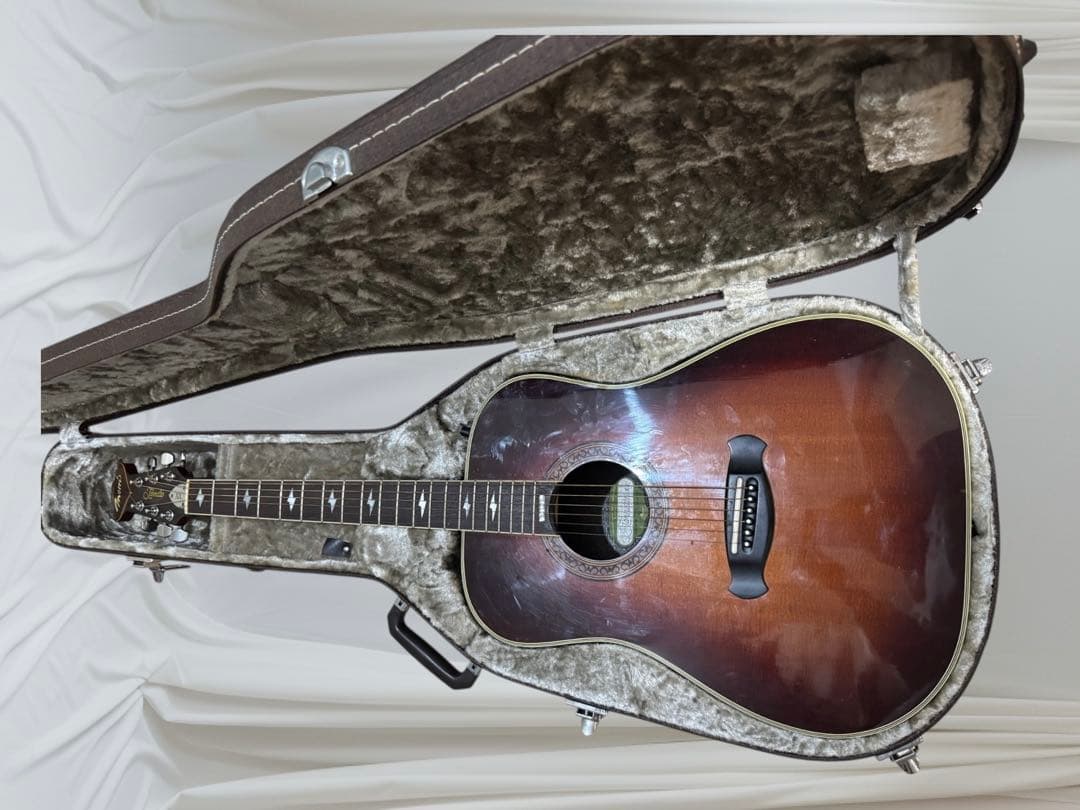 レフティ スプルース単板 81年製 morris tornado xx エレアコ