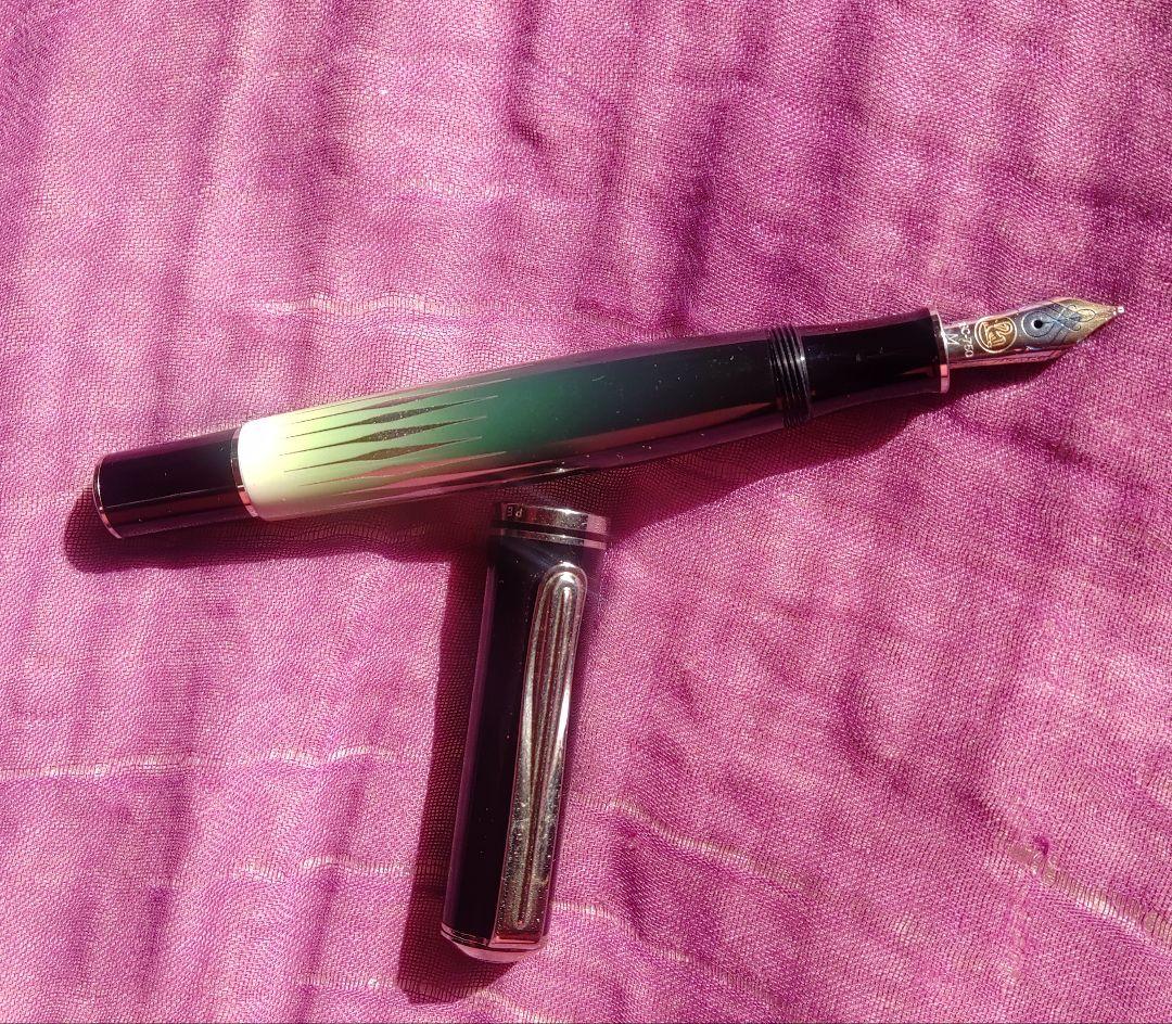 【調整済】ペリカン　自然の美観シリーズ　ポーラーライト　M640 字幅M