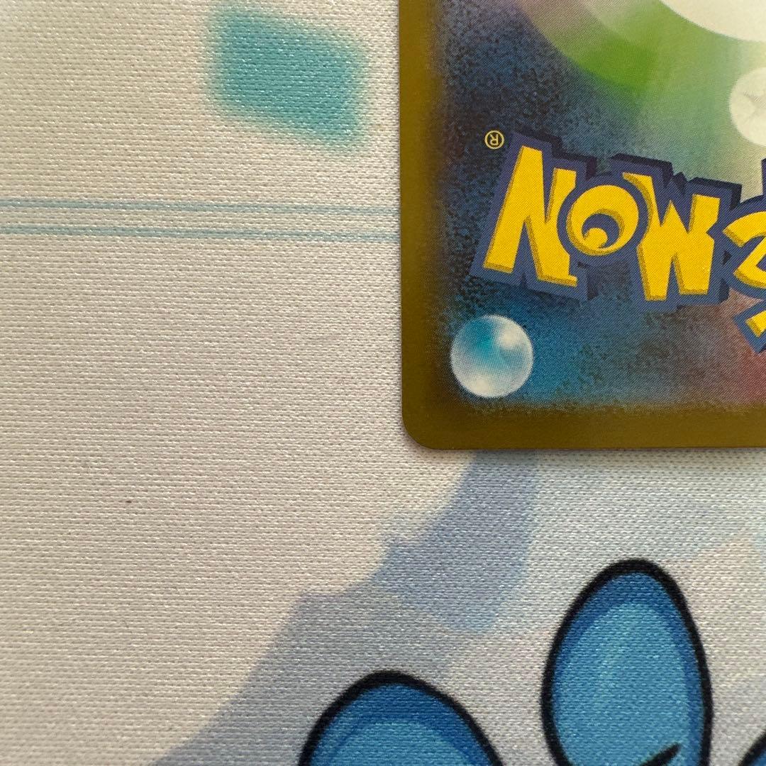 【専用出品】ブラッキーex SAR