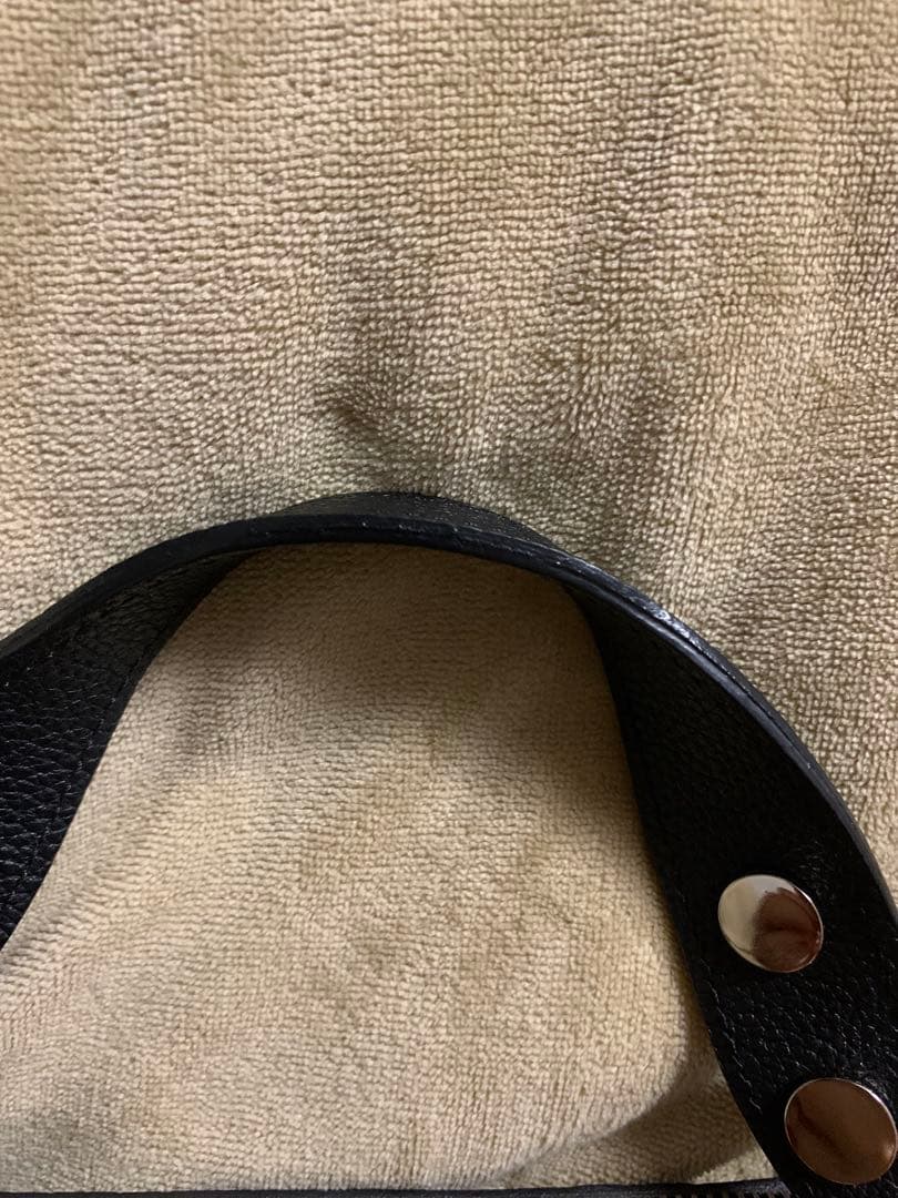 ロンシャン　ラ ヴォヤジューズ　ショルダーバッグ　ハンドバッグ　　美品