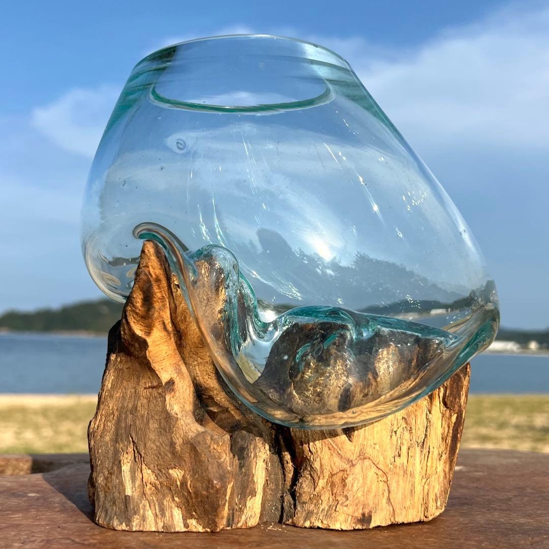 流木ガラス オブジェ中S 花瓶 金魚鉢 ガーデニング テラリウム 観賞魚 容器