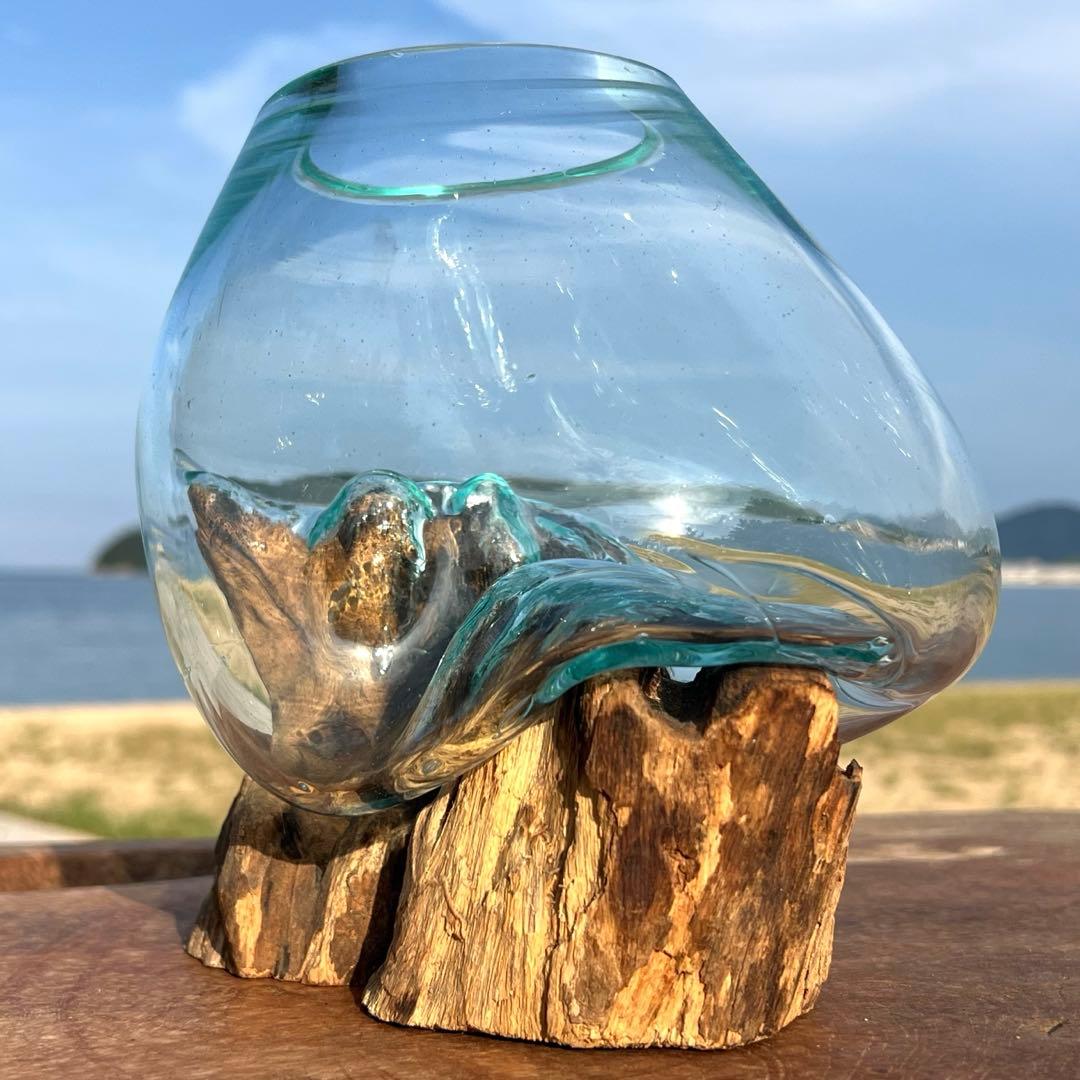 流木ガラス オブジェ中S 花瓶 金魚鉢 ガーデニング テラリウム 観賞魚 容器