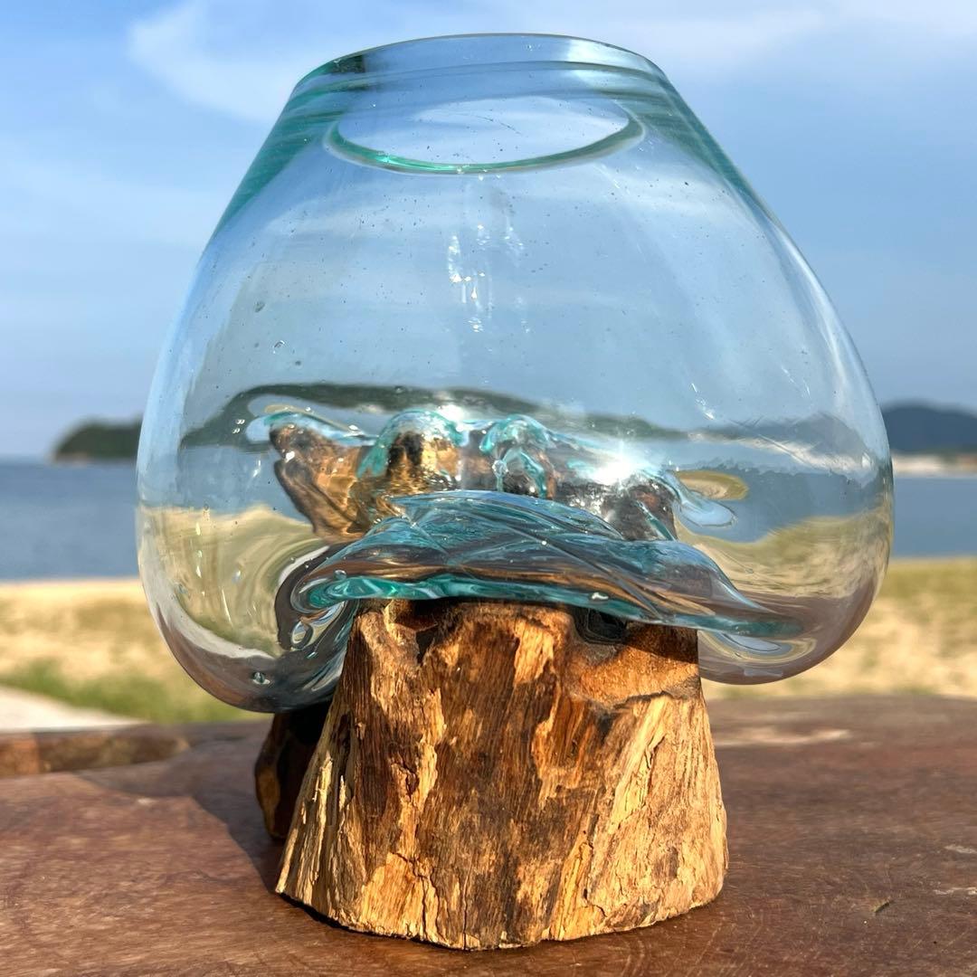 流木ガラス オブジェ中S 花瓶 金魚鉢 ガーデニング テラリウム 観賞魚 容器