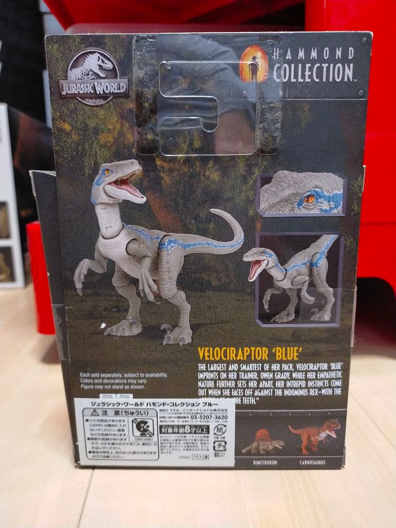 【ハモンドコレクション】ブルー