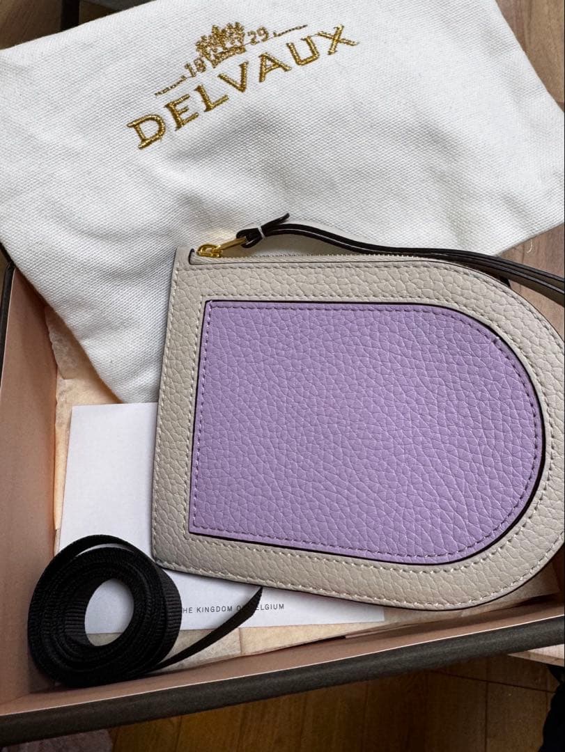 【人気色】DELVAUX デルヴォー　財布　パンDマルチファンクション