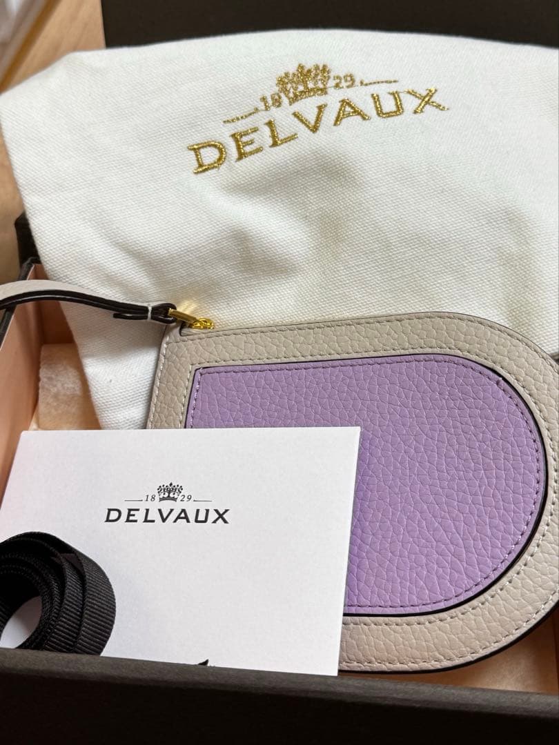 【人気色】DELVAUX デルヴォー　財布　パンDマルチファンクション