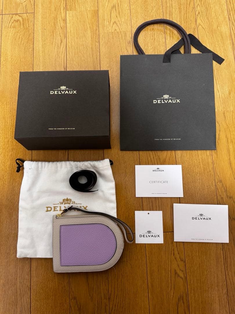 【人気色】DELVAUX デルヴォー　財布　パンDマルチファンクション