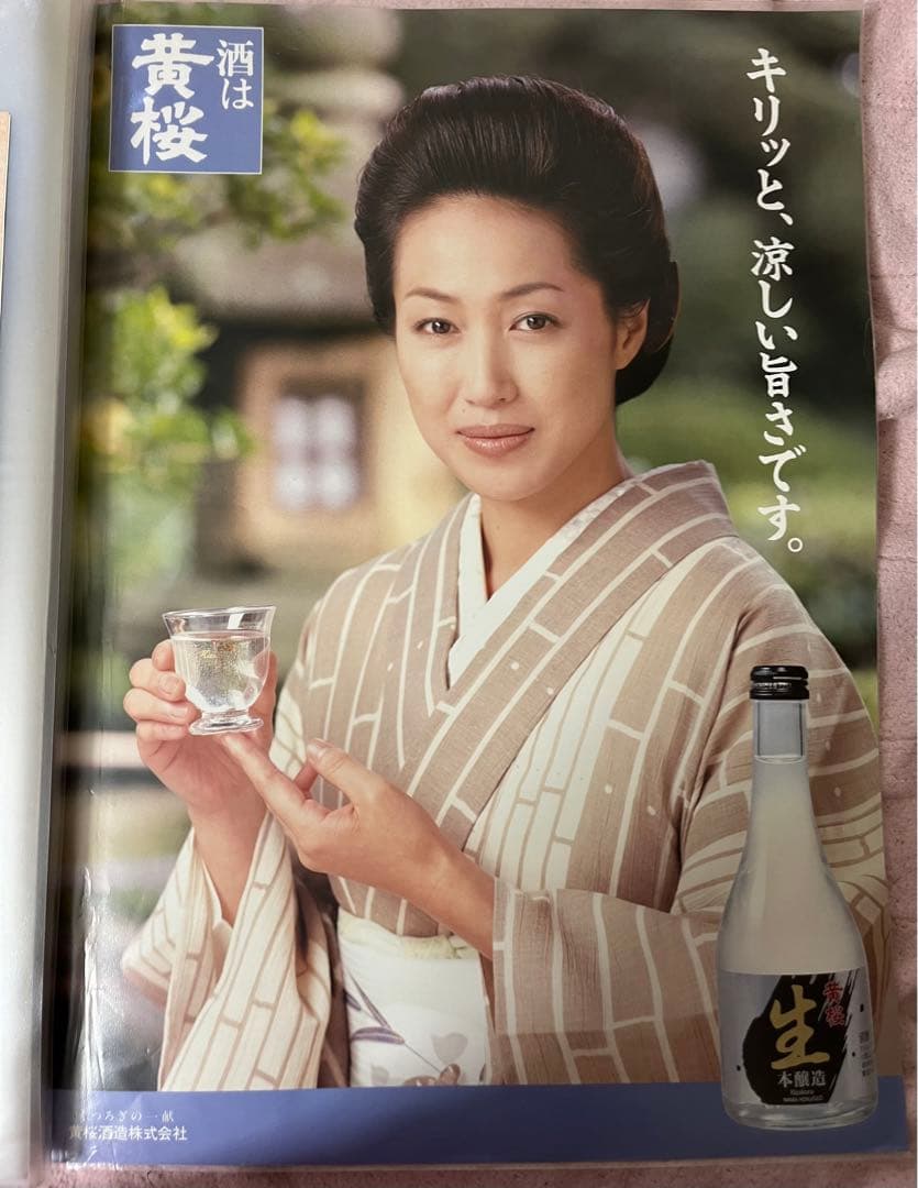 【早い者勝ち】高島礼子 黄桜 宣伝ポスター 未使用 販促物【非売品】5種類