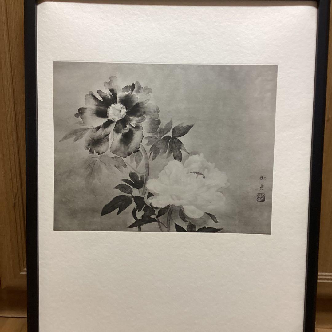 天才画家　速水御舟　作品集大作編　便利堂監修　NO 【50    牡丹双華】画集