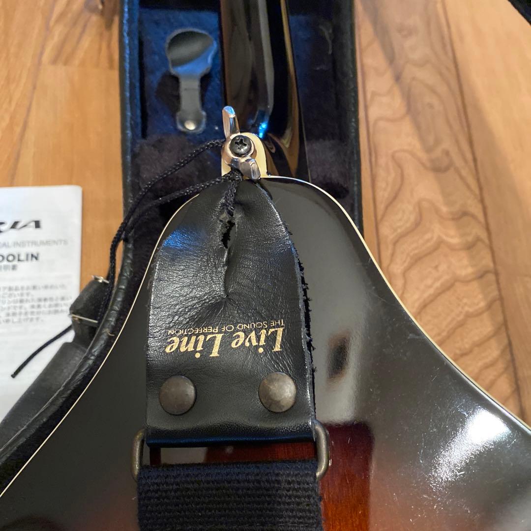 弦楽器 ARIA Mandolin