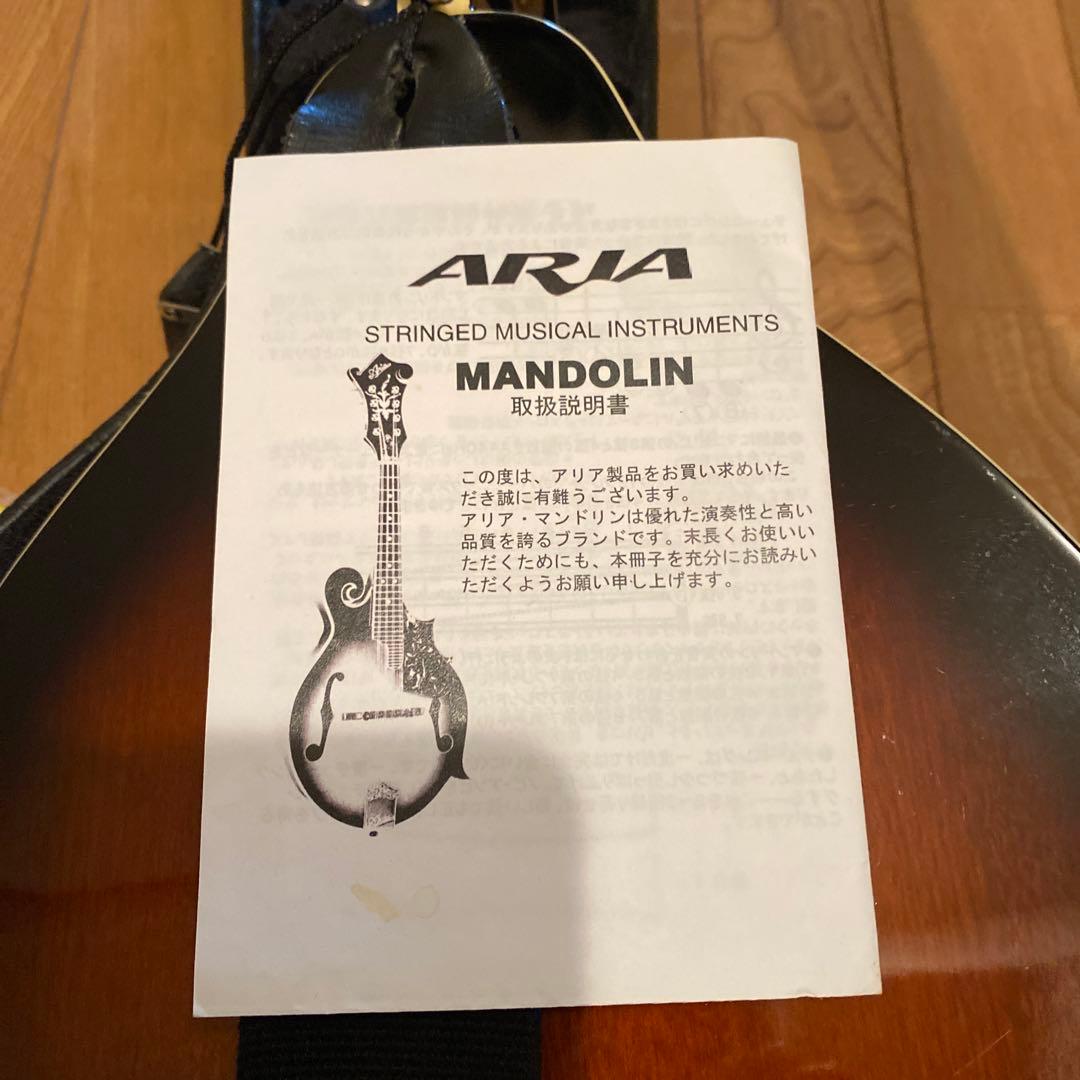弦楽器 ARIA Mandolin