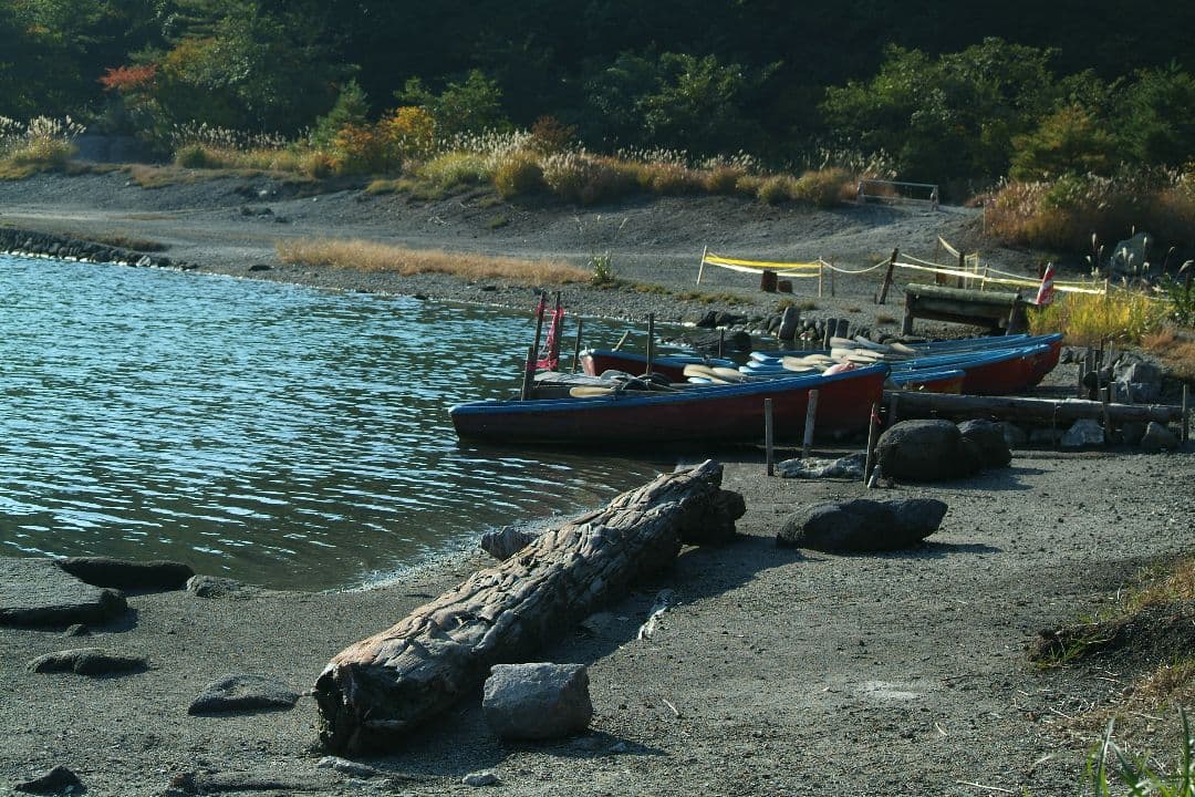 【値下げ】Nikon AF-S DX55-200mm 4-5.6G ED VRⅡ