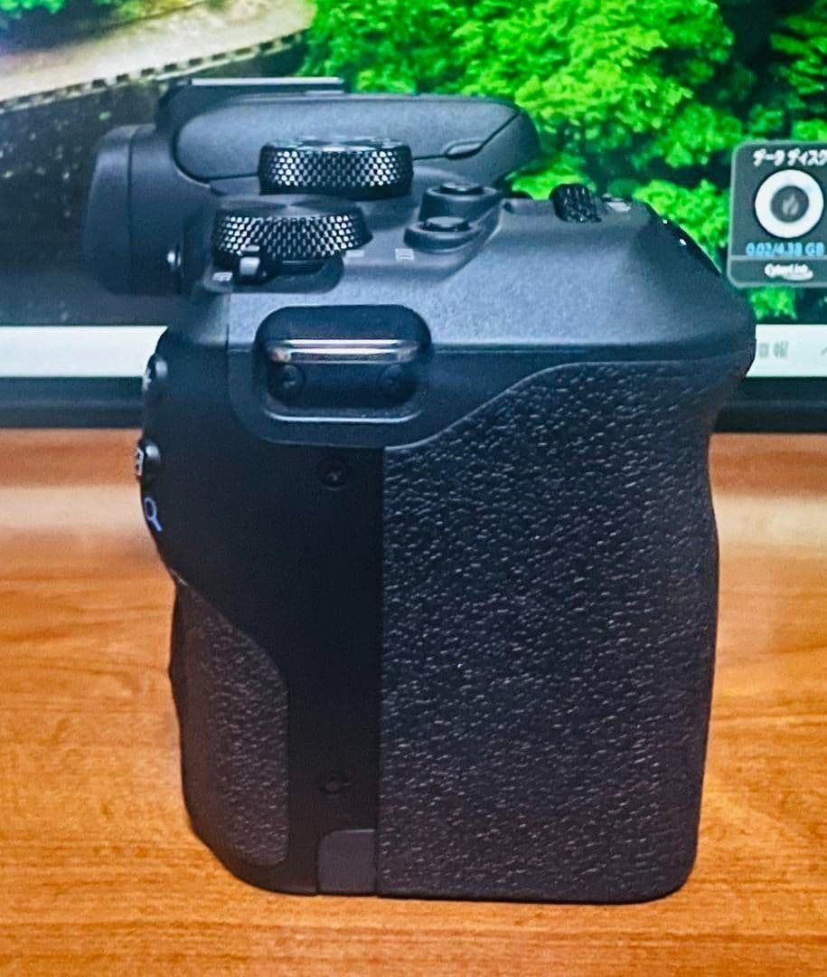 Canon EOS R10 ボディ　ケース付き