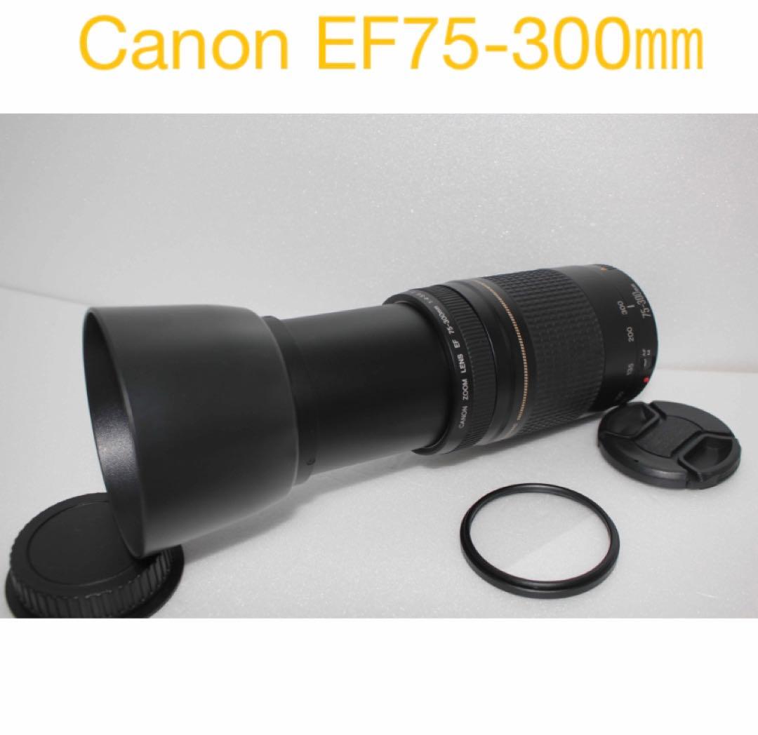 デジタル一眼レフカメラ人気の望遠レンズ//Canon EF75-300㎜