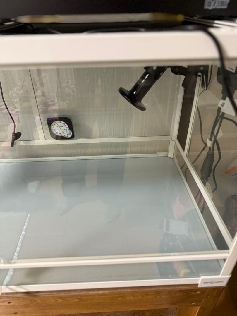 SANKO パンテオンカノンホワイト 　爬虫類 ケージ セット（引き取り限定）