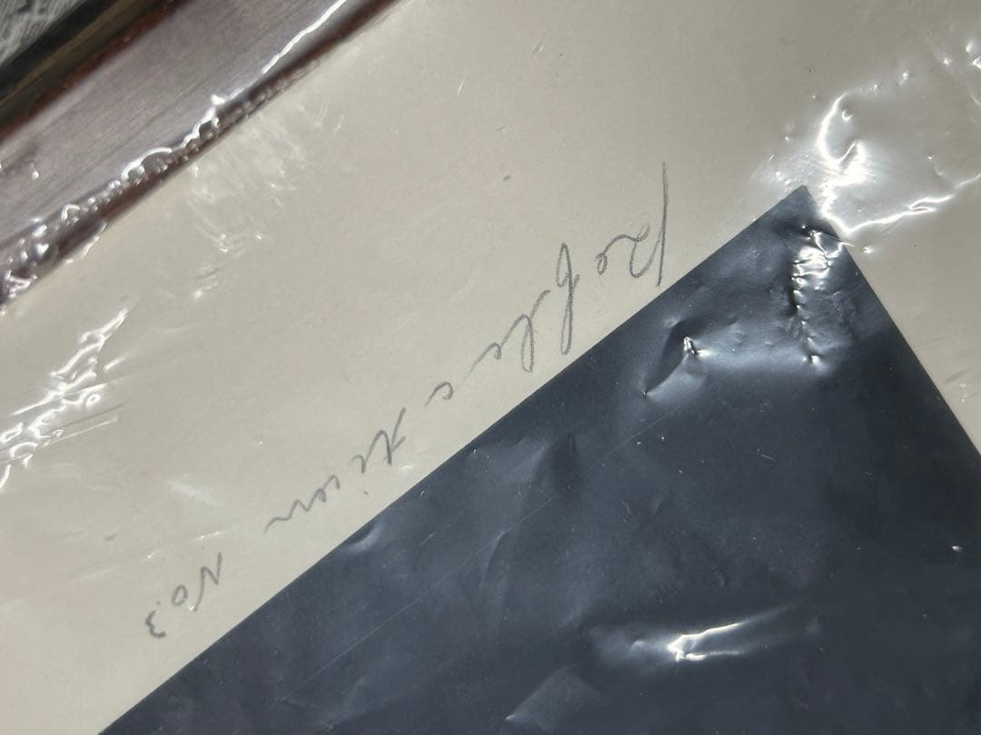 現代アート　絵画　リトグラフ　版画　サイン有り　71/100 新品額縁