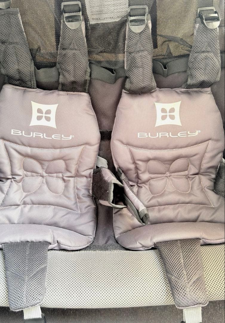 burley D’lite2 2人用トレーラー + 付属品