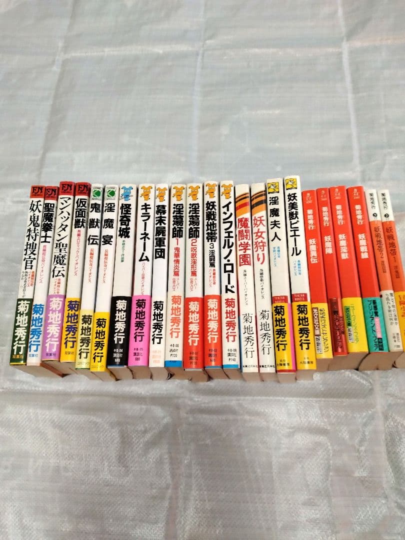 【レア】菊地秀行　妖魔シリーズなど 文庫本　23冊セット