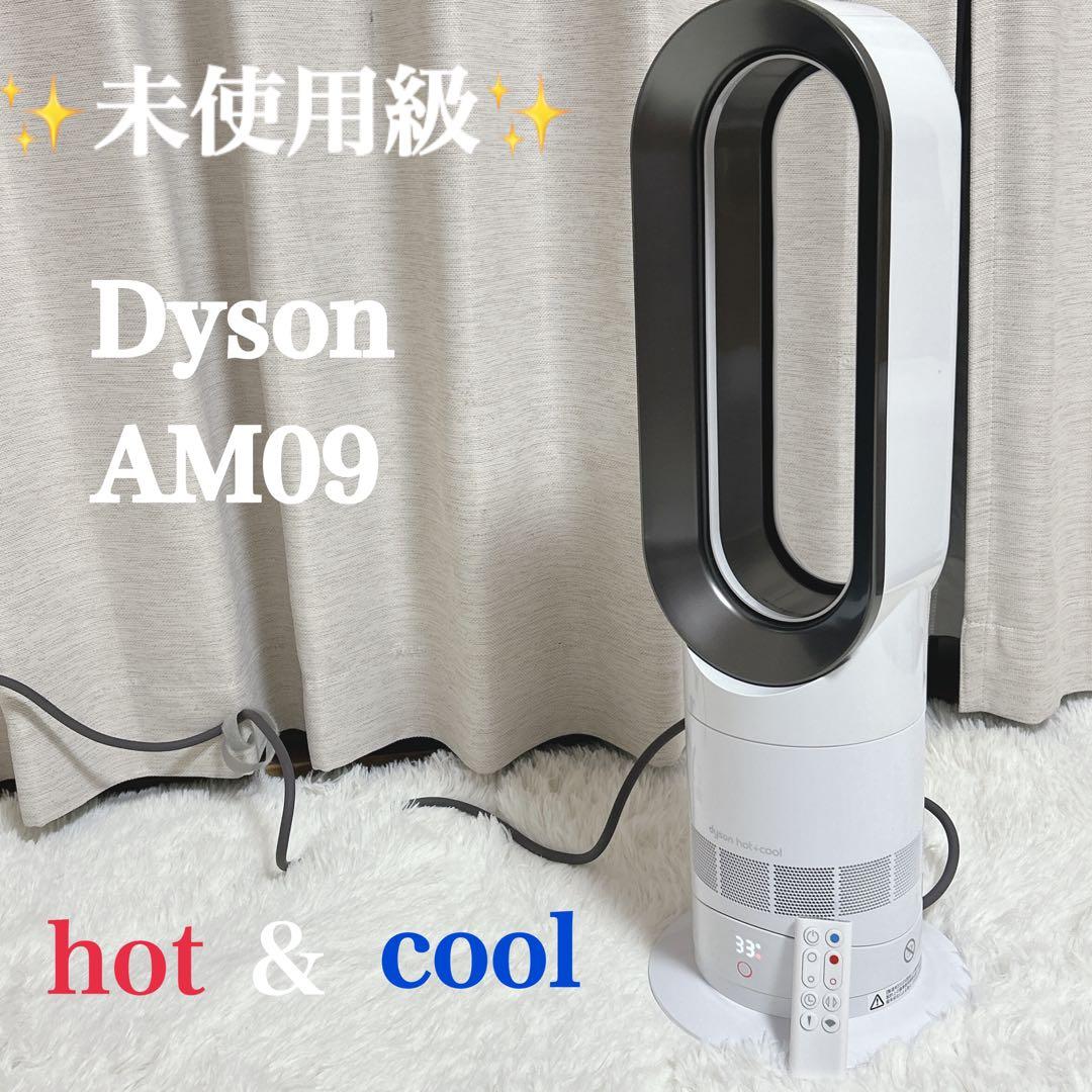 【ほぼ未使用】ダイソン Dyson ホットアンドクール AM09 2023年製