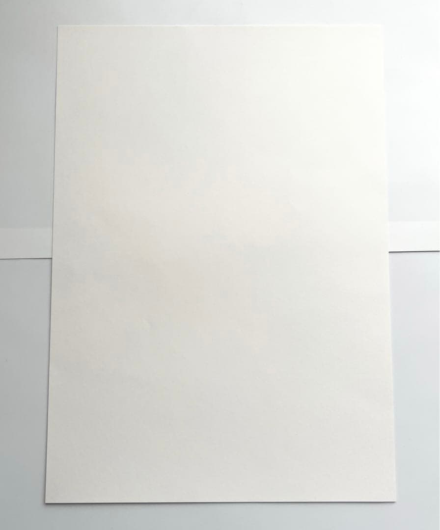 吸血鬼すぐ死ぬ　ドラルク　ロナルド　ジョン　複製原画　40話