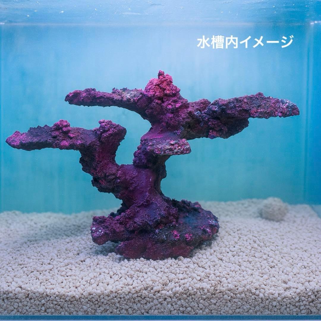 人工ライブロック RR61 アク抜き済み安心塗料使用