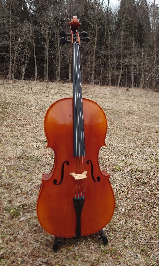 チェロ オレンジ ケース付き