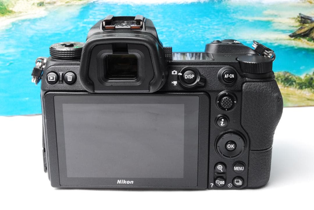 Nikon Z6 ミラーレス一眼カメラ 本体