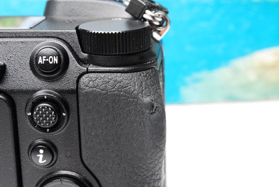 Nikon Z6 ミラーレス一眼カメラ 本体