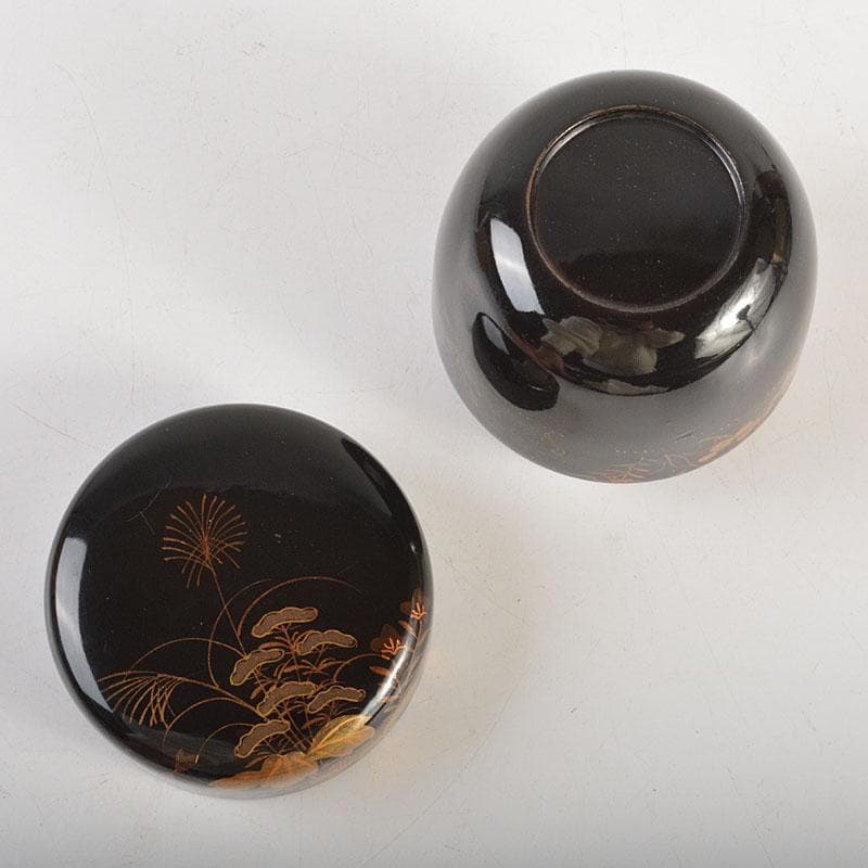 いさ　茶道具　秋草蒔絵　棗　時代箱付　V　6791