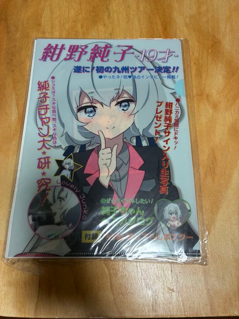 ゾンビランドサガ 伝説の昭和のアイドル 紺野純子セット