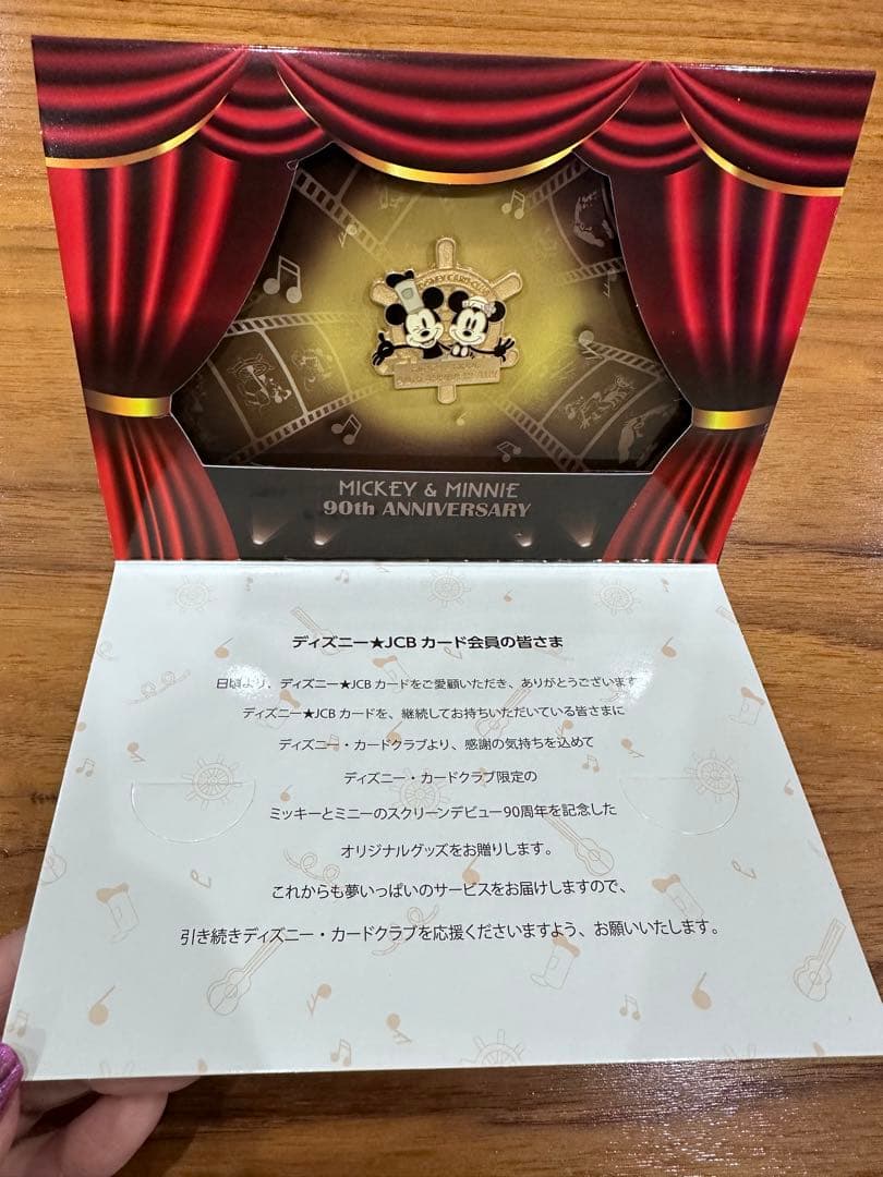 ディズニーJCB40周年ペーパーウェイト、ピンバッチ5点セット